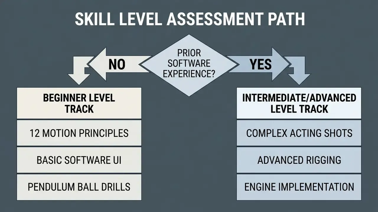Flowchart directing students to beginner or advanced animation tracks based on prior software experience